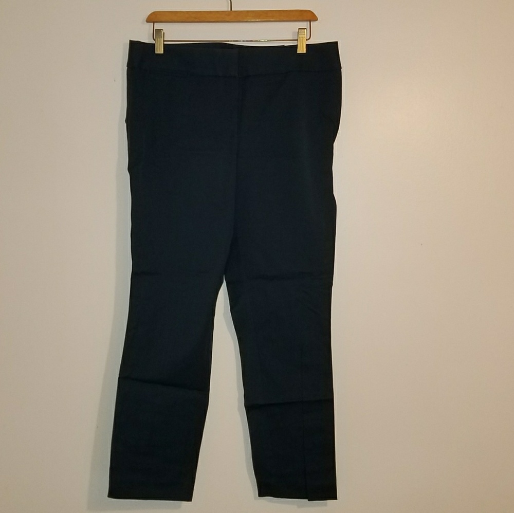Ann Taylor Pant